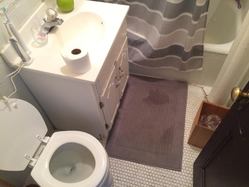 5 Lothian Rd, Brighton