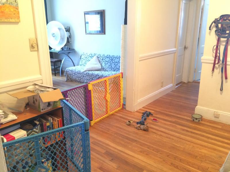 Photos of apartment on Lothian Rd.,Boston MA 02135