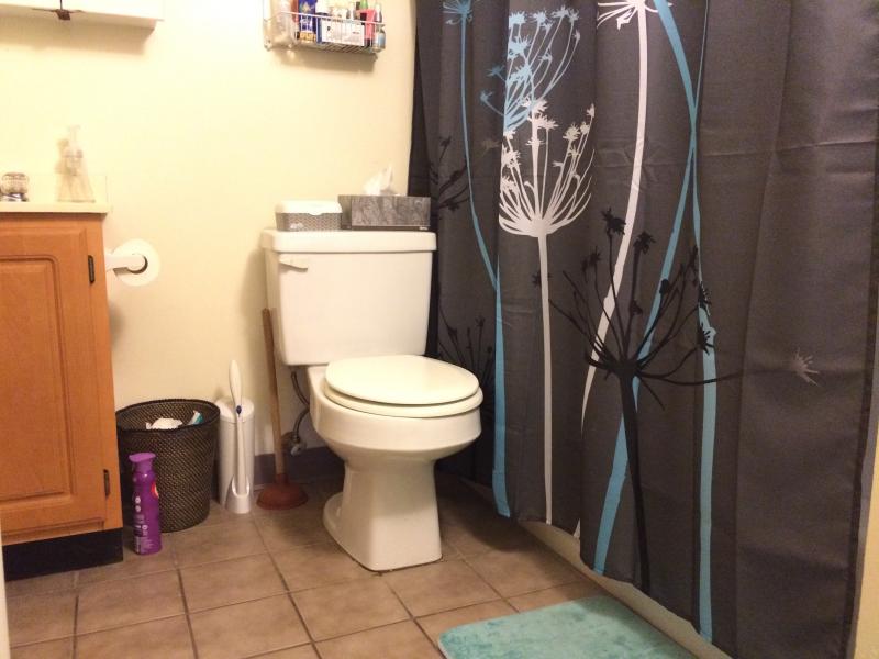 1610 Massachusetts Ave, Harvard Square