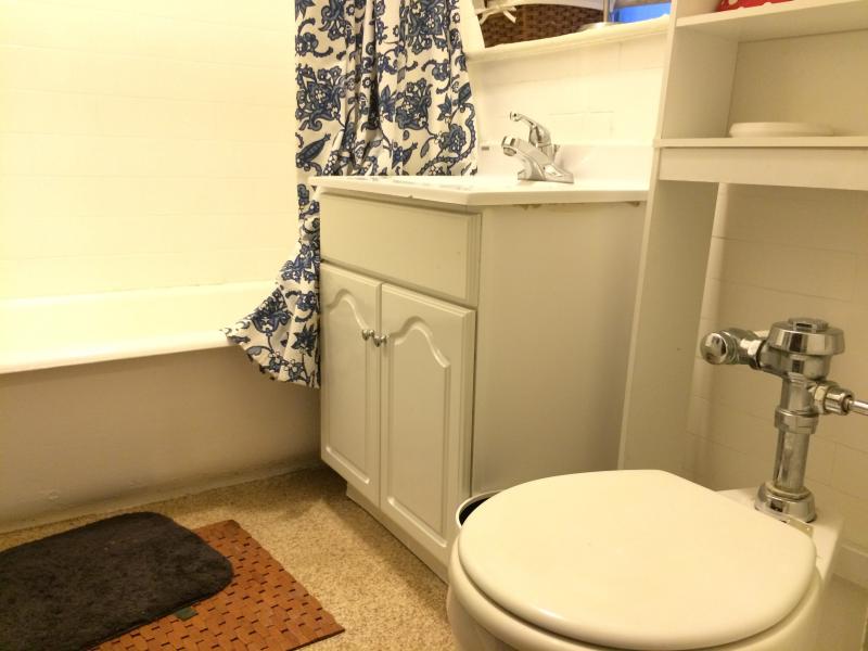 1616 Massachusetts Ave, Harvard Square