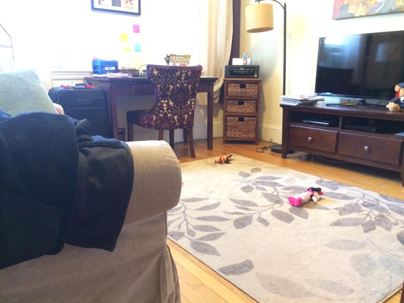 1616 Massachusetts Ave, Harvard Square