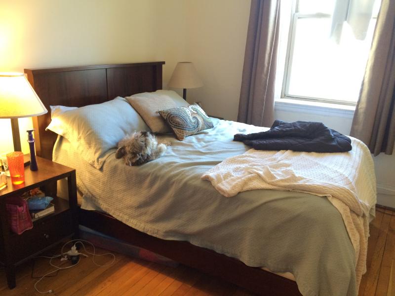 1616 Massachusetts Ave, Harvard Square