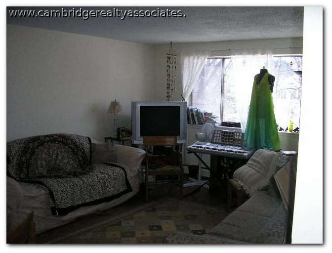 66 Homer Ave, West Cambridge