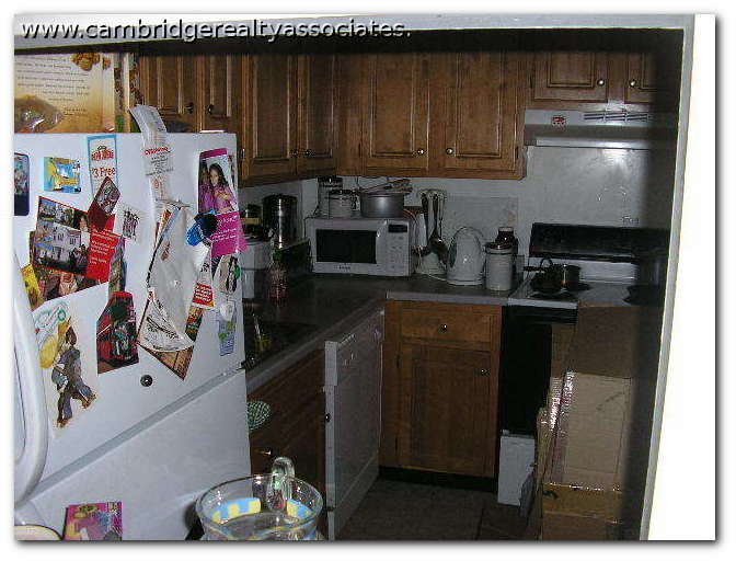 66 Homer Ave, West Cambridge