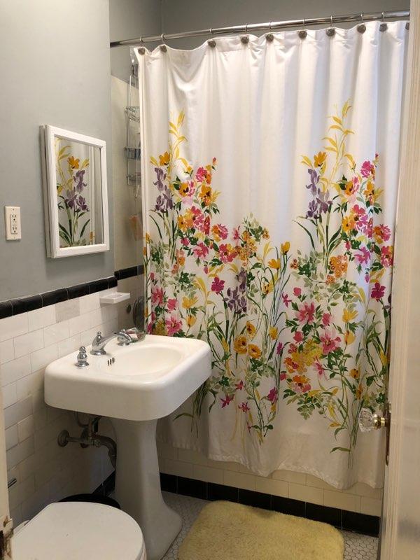 249 Chestnut Hill Ave, Brighton