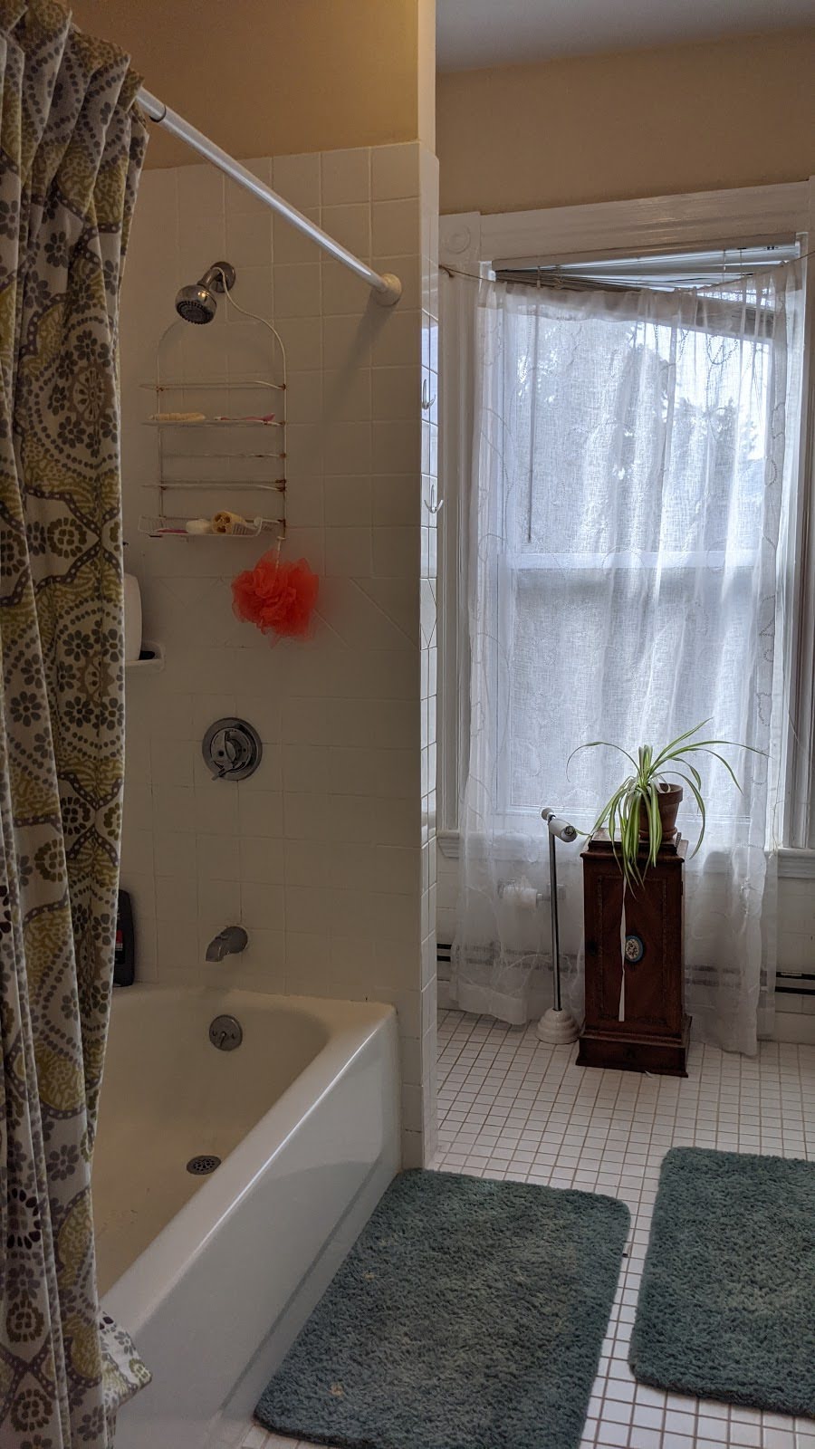 195 Green St, Cambridgeport