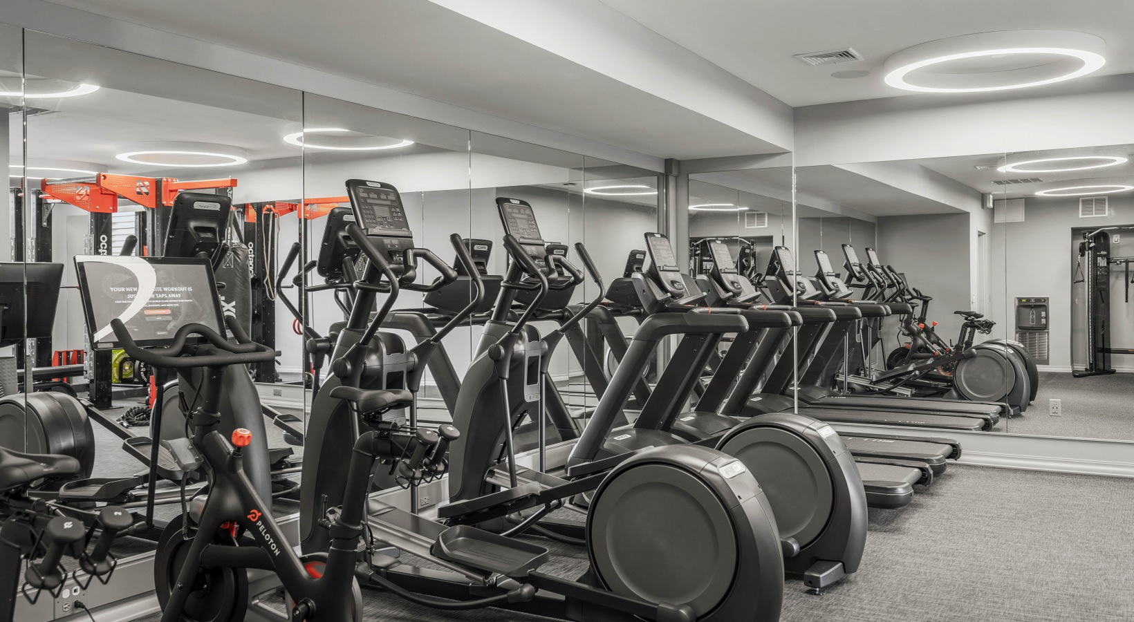 5 Washington, Brighton