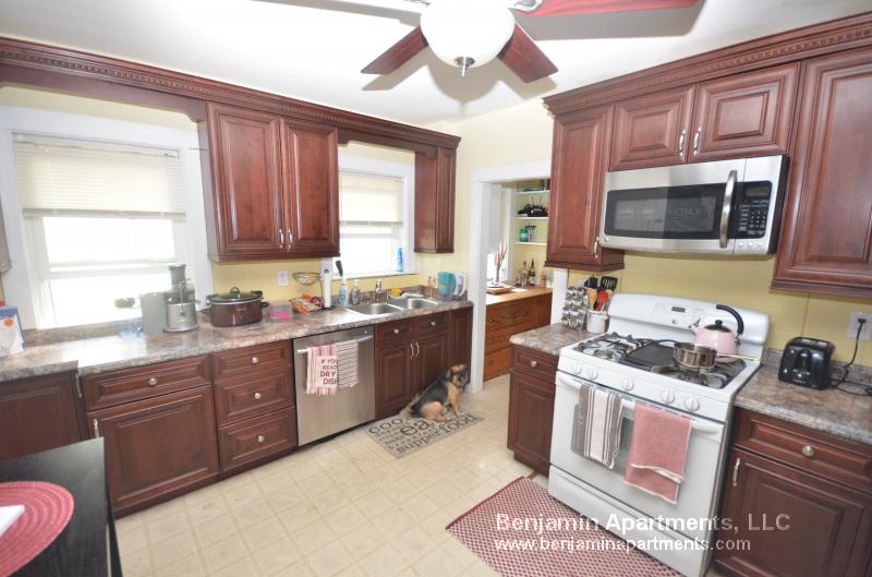 45 Hobart St, Brighton