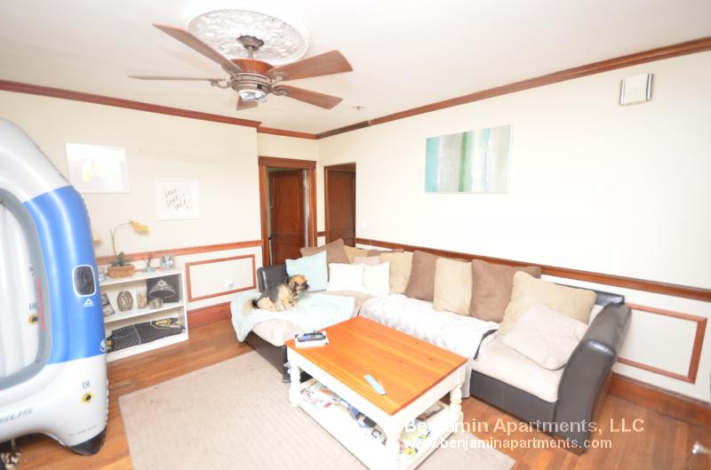 45 Hobart St, Brighton