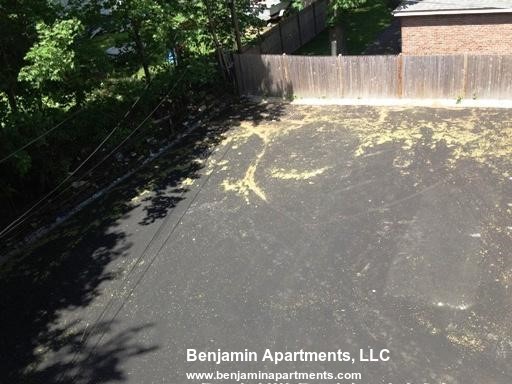 11 Sparhawk St, Brighton