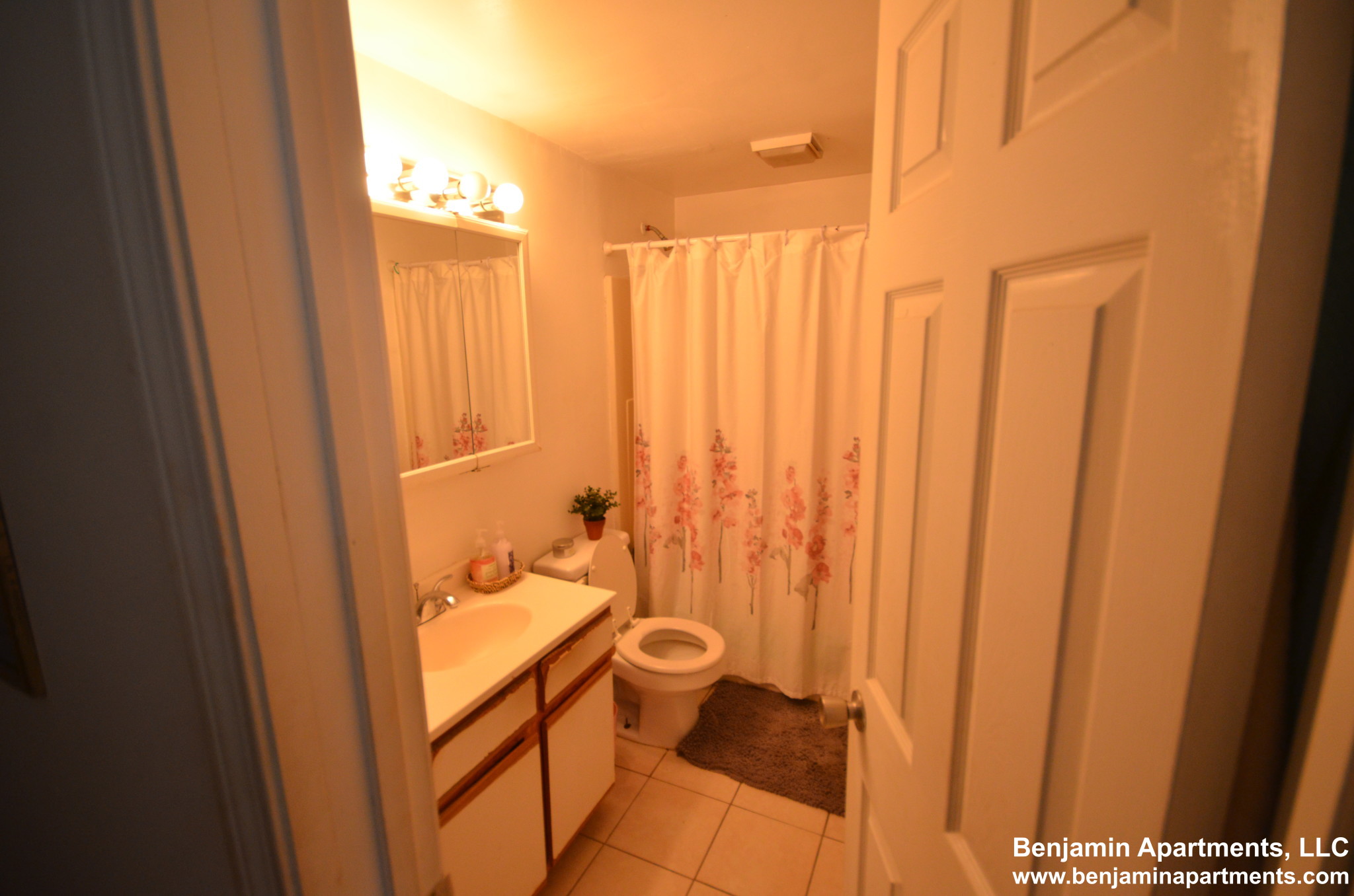 26 Haskell St, Lower Allston