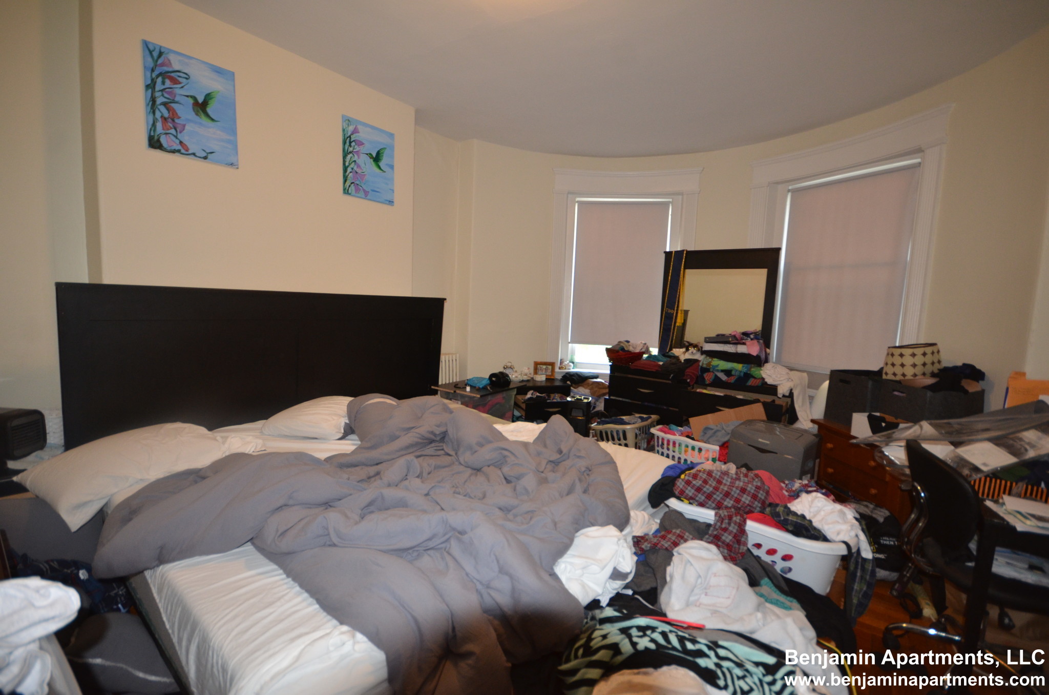 1589 Beacon St, Coolidge Corner