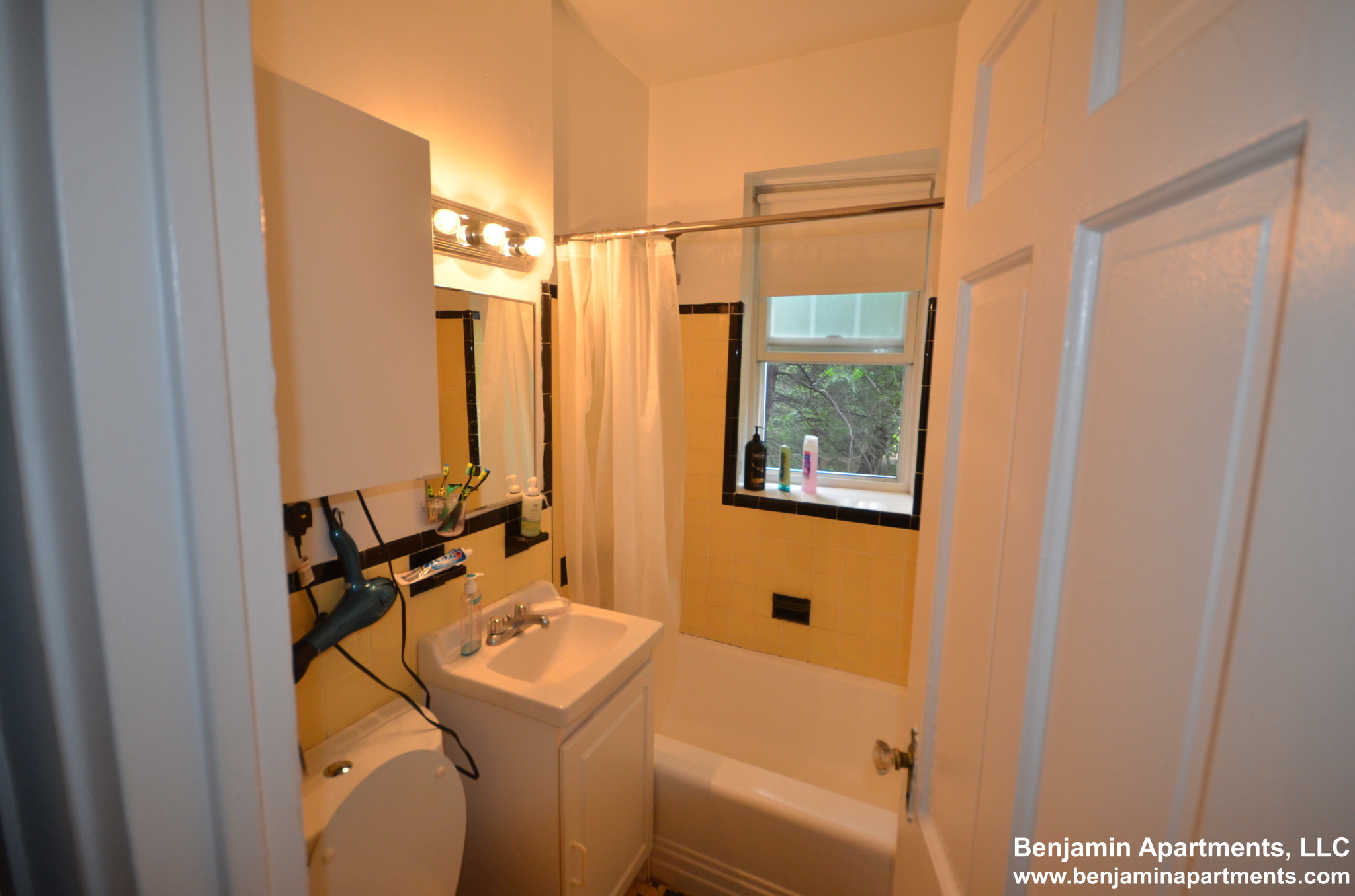 1 bed, 1 bath apartment for rent at 71 Kilsyth Rd Unit 5, Brighton — photo 6 of 6