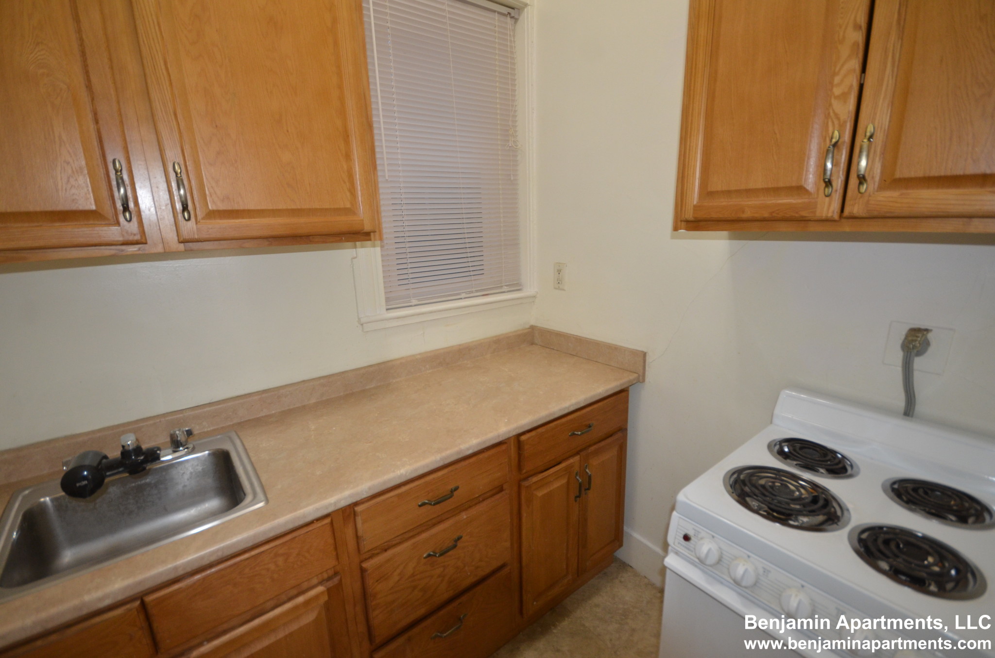 11 Tetlow St, Longwood