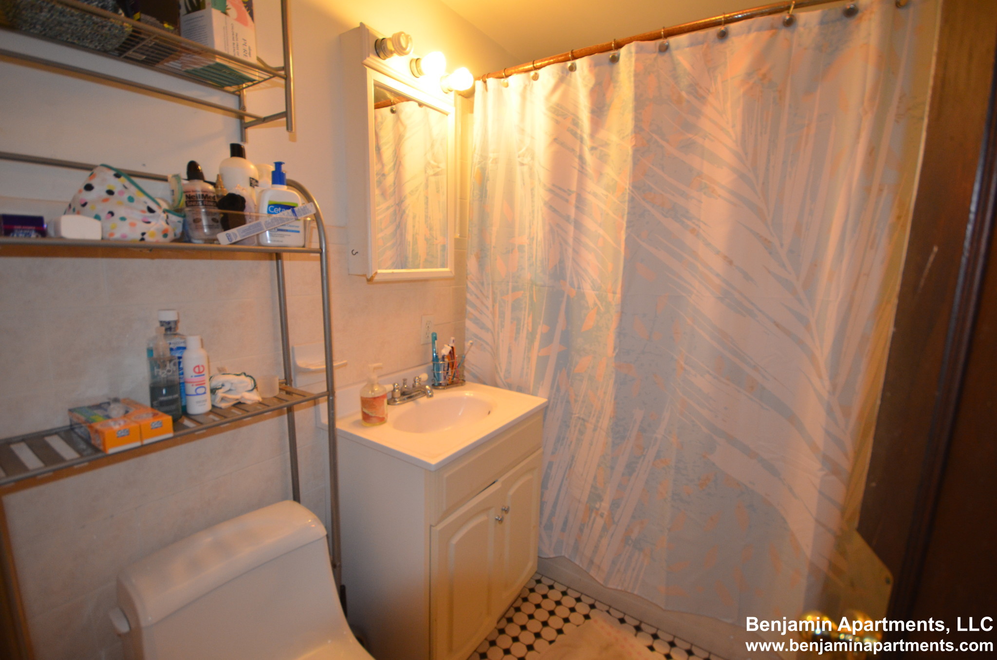 6 bed, 2 bath apartment for rent at 323 Saint Paul St Unit 3, Coolidge Corner — photo 9 of 9