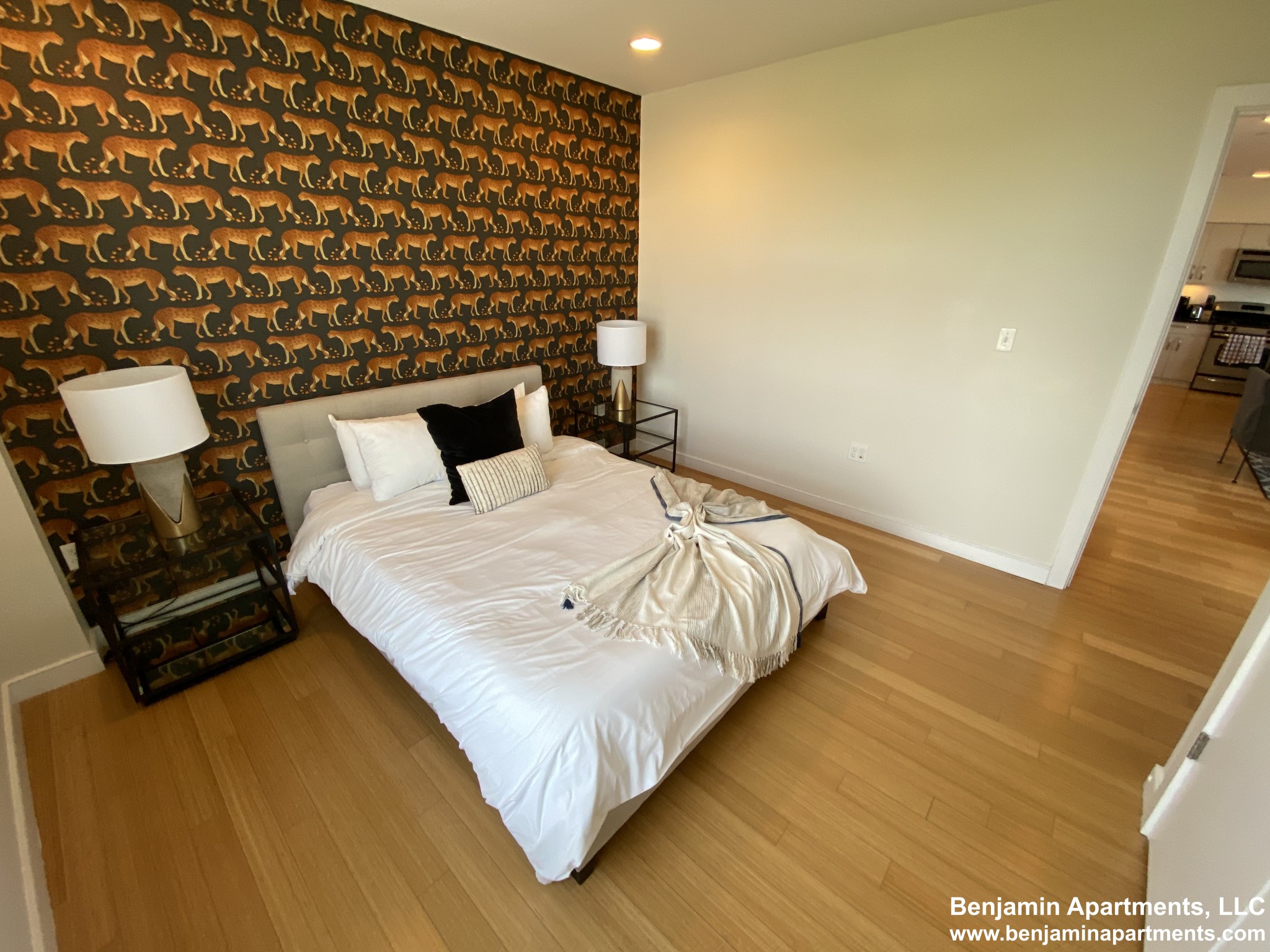 601 Albany St, South End