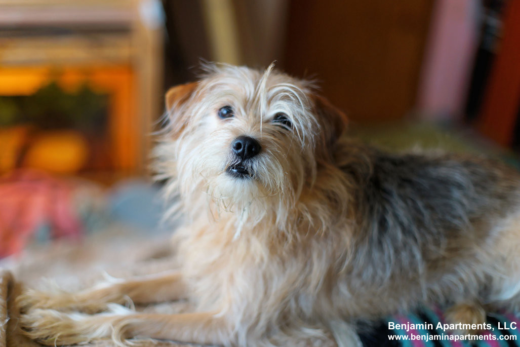 100 Arlington St, Back Bay