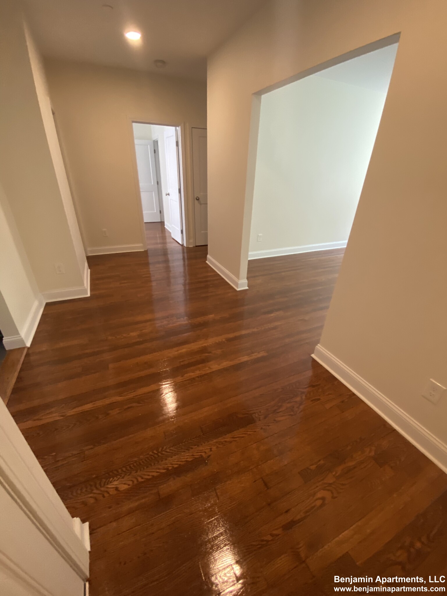 123 Sutherland Rd, Brighton