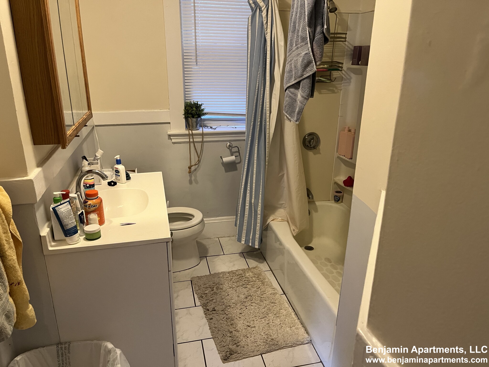 209 Chestnut Hill Ave, Brighton