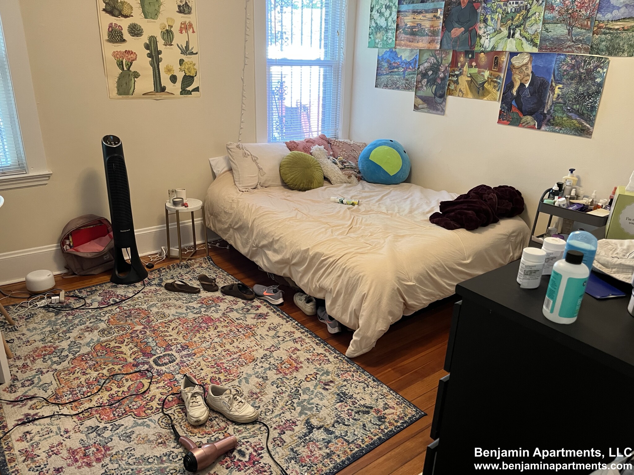 209 Chestnut Hill Ave, Brighton