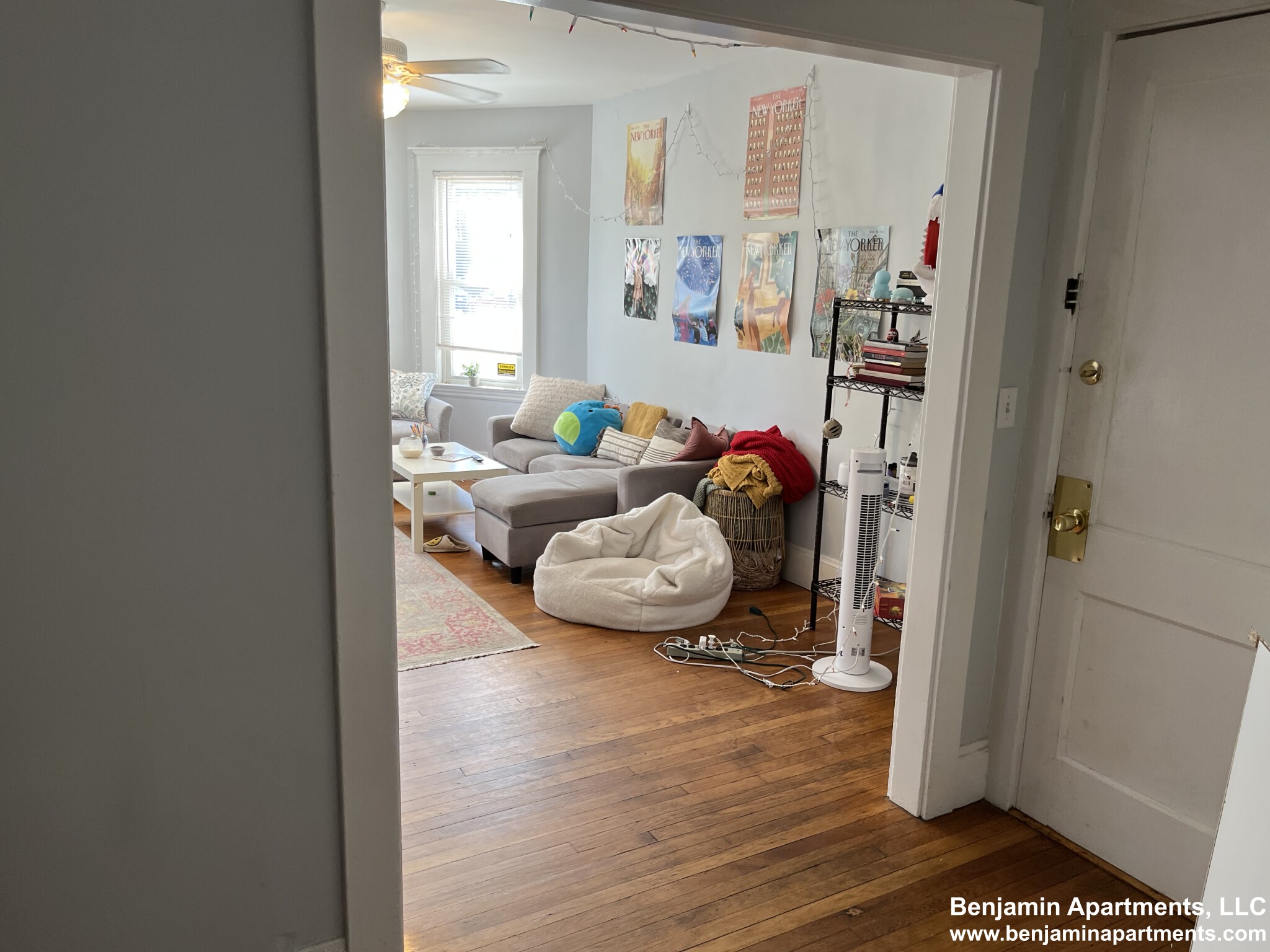 209 Chestnut Hill Ave, Brighton