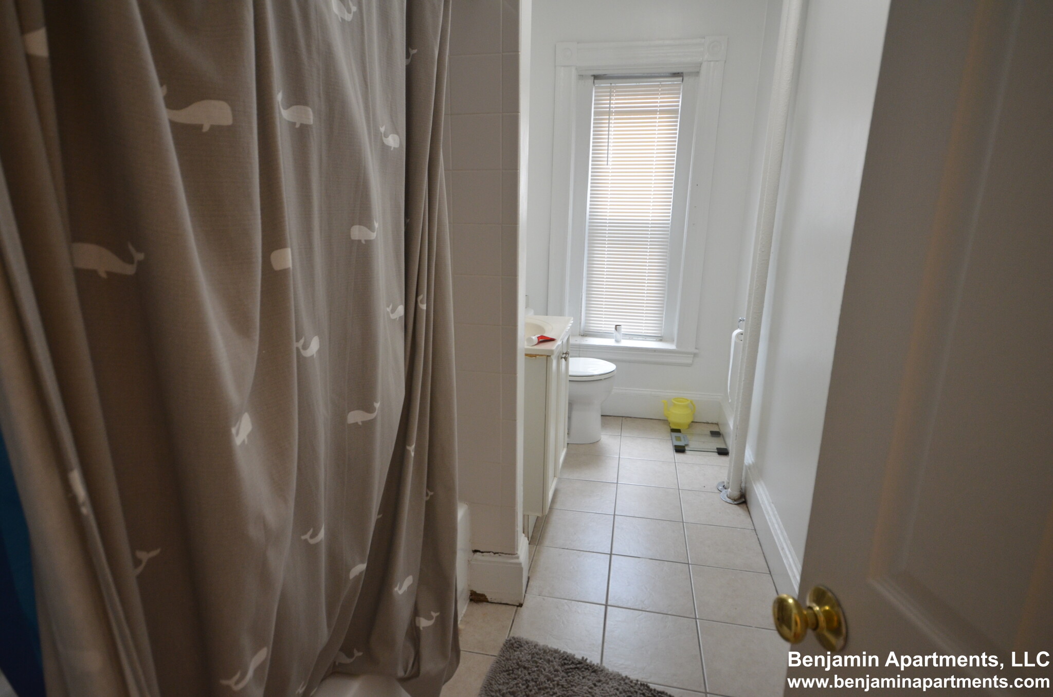 87 Brighton Ave, Brighton