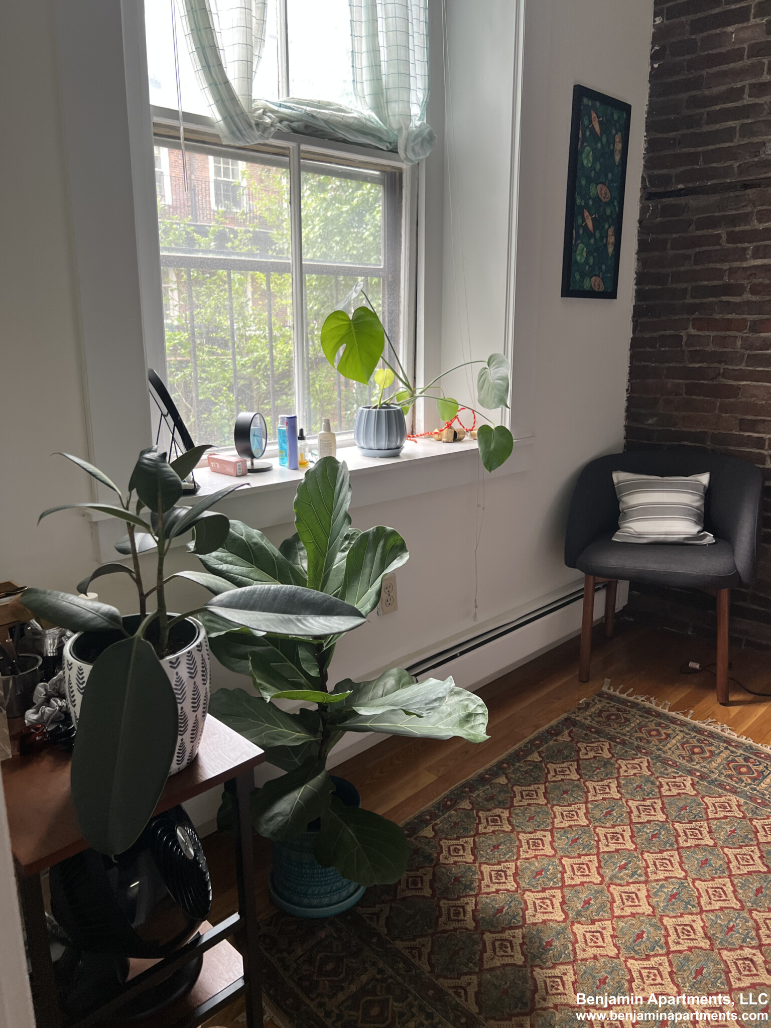 65 Hancock St, Beacon Hill