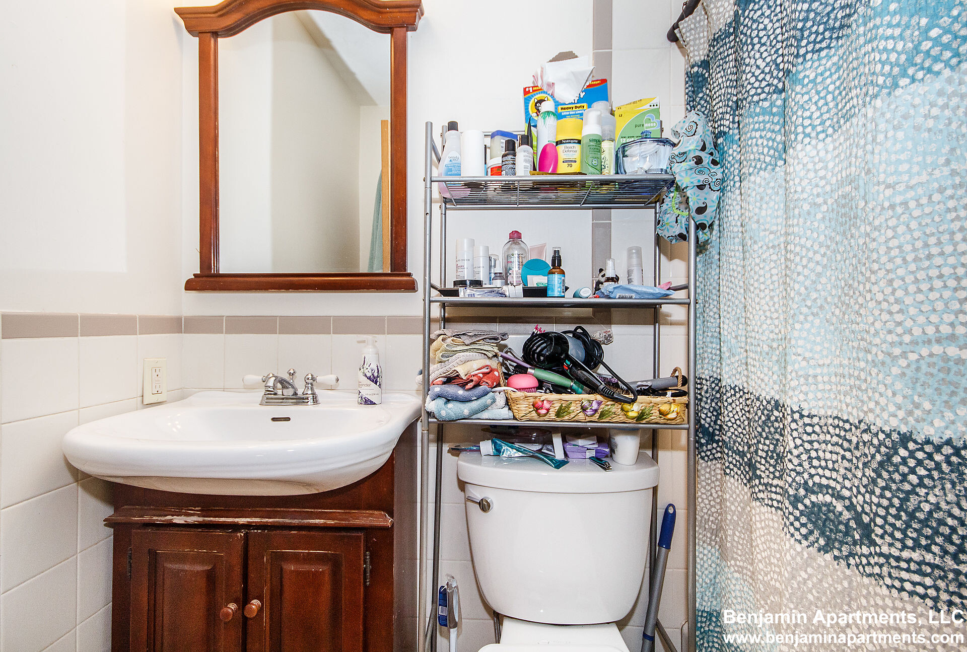 61 Anderson St, Beacon Hill