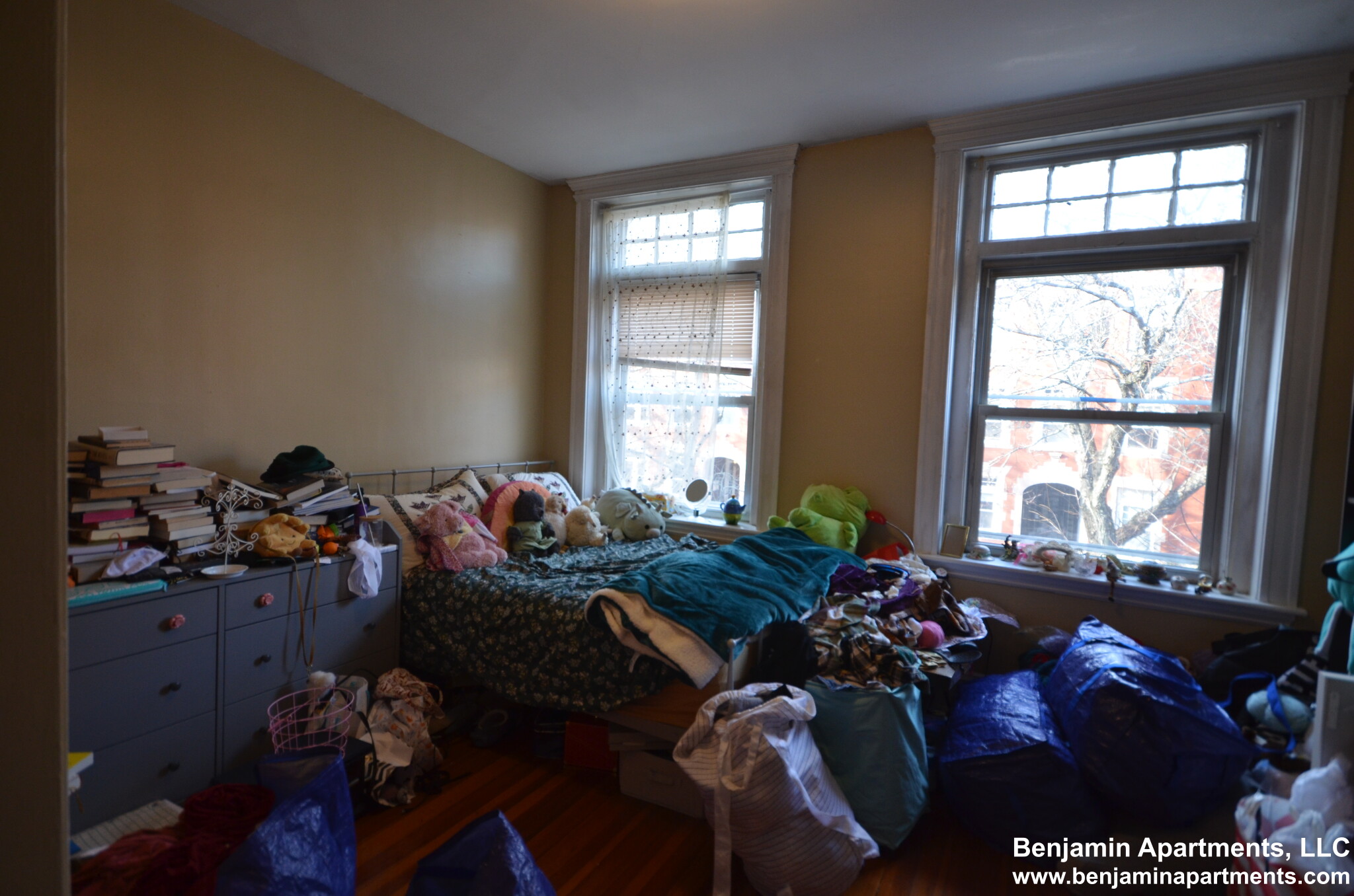 10 Strathmore Rd, Brookline