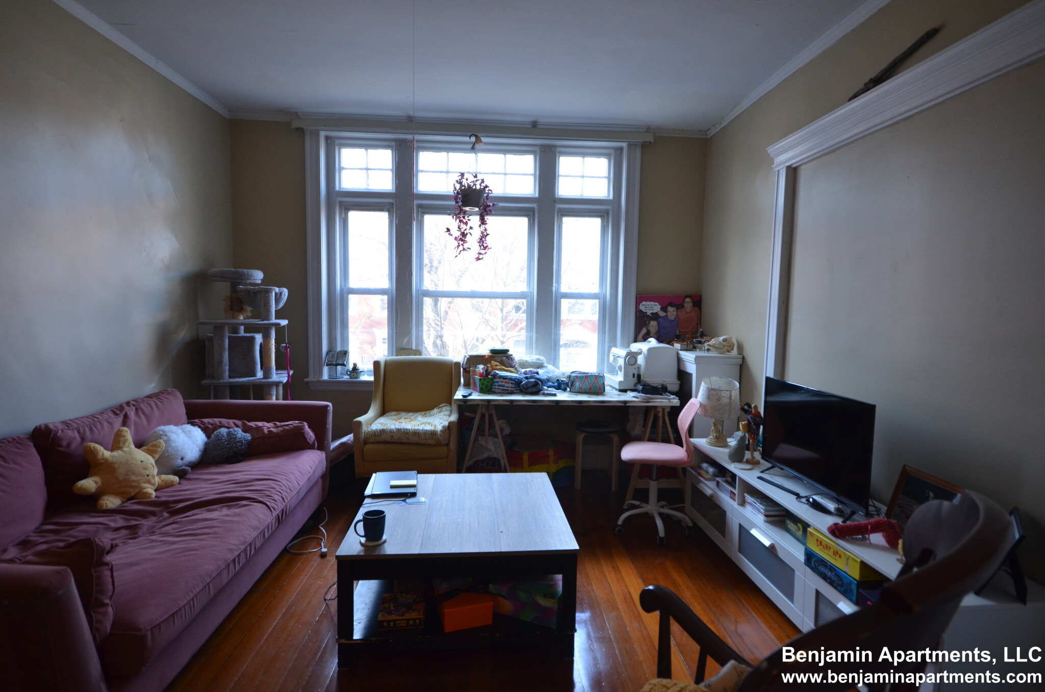 10 Strathmore Rd, Brookline