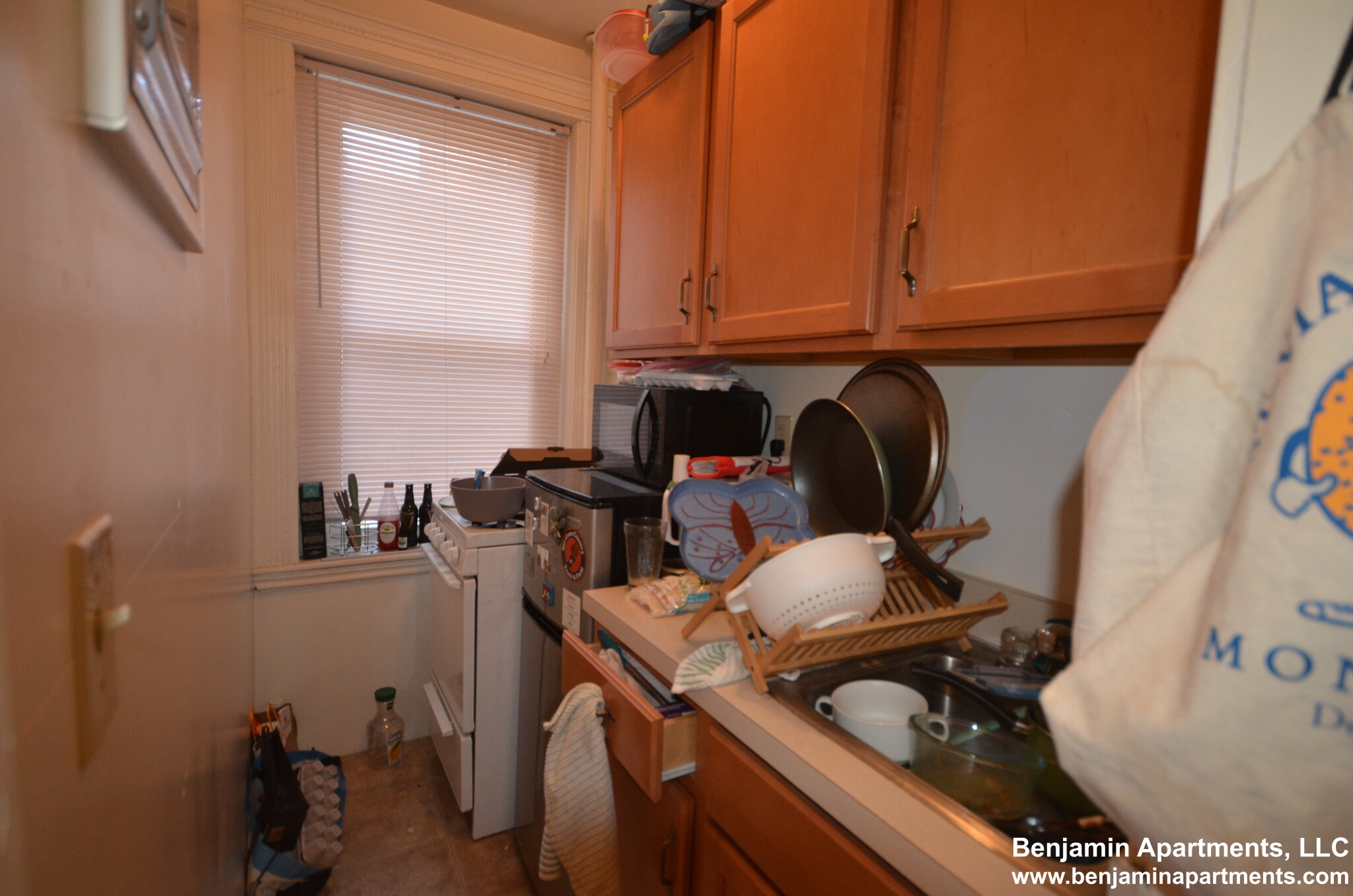 24 Westland Ave, Fenway