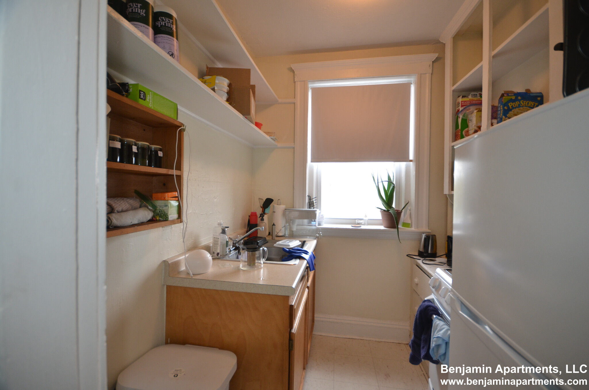 1171 Boylston St, Fenway