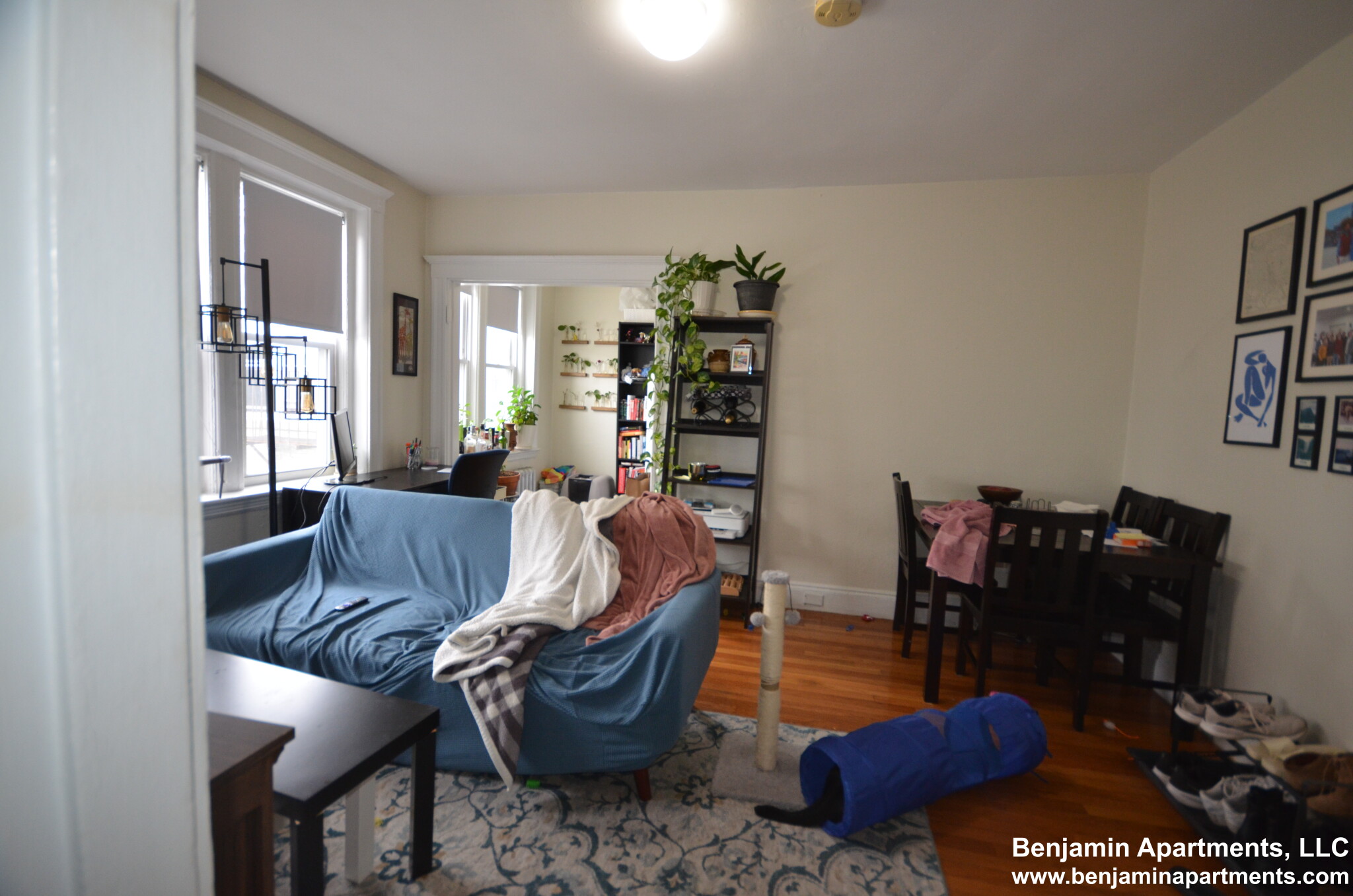 1171 Boylston St, Fenway