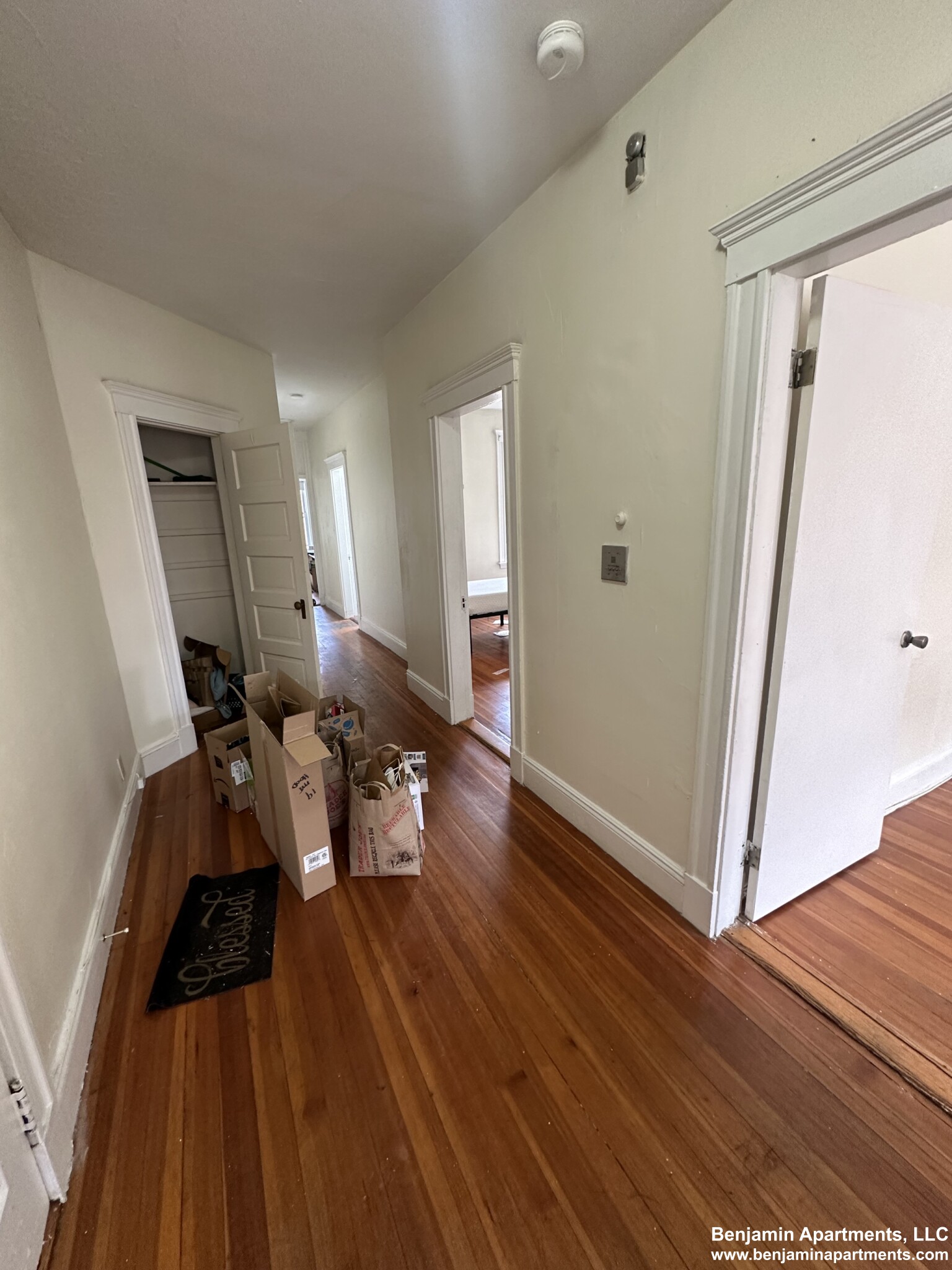 19 Mount Hood Rd, Brighton