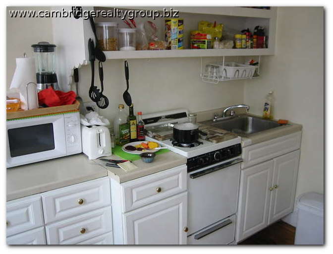 114 Willow St, Wellington-Harrington