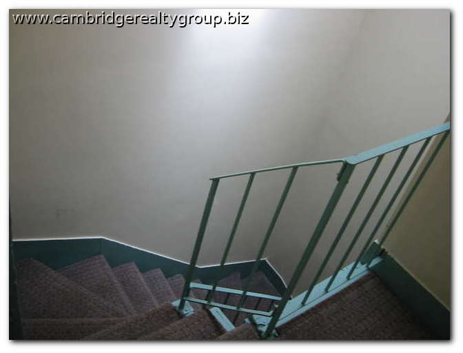 114 Willow St, Wellington-Harrington