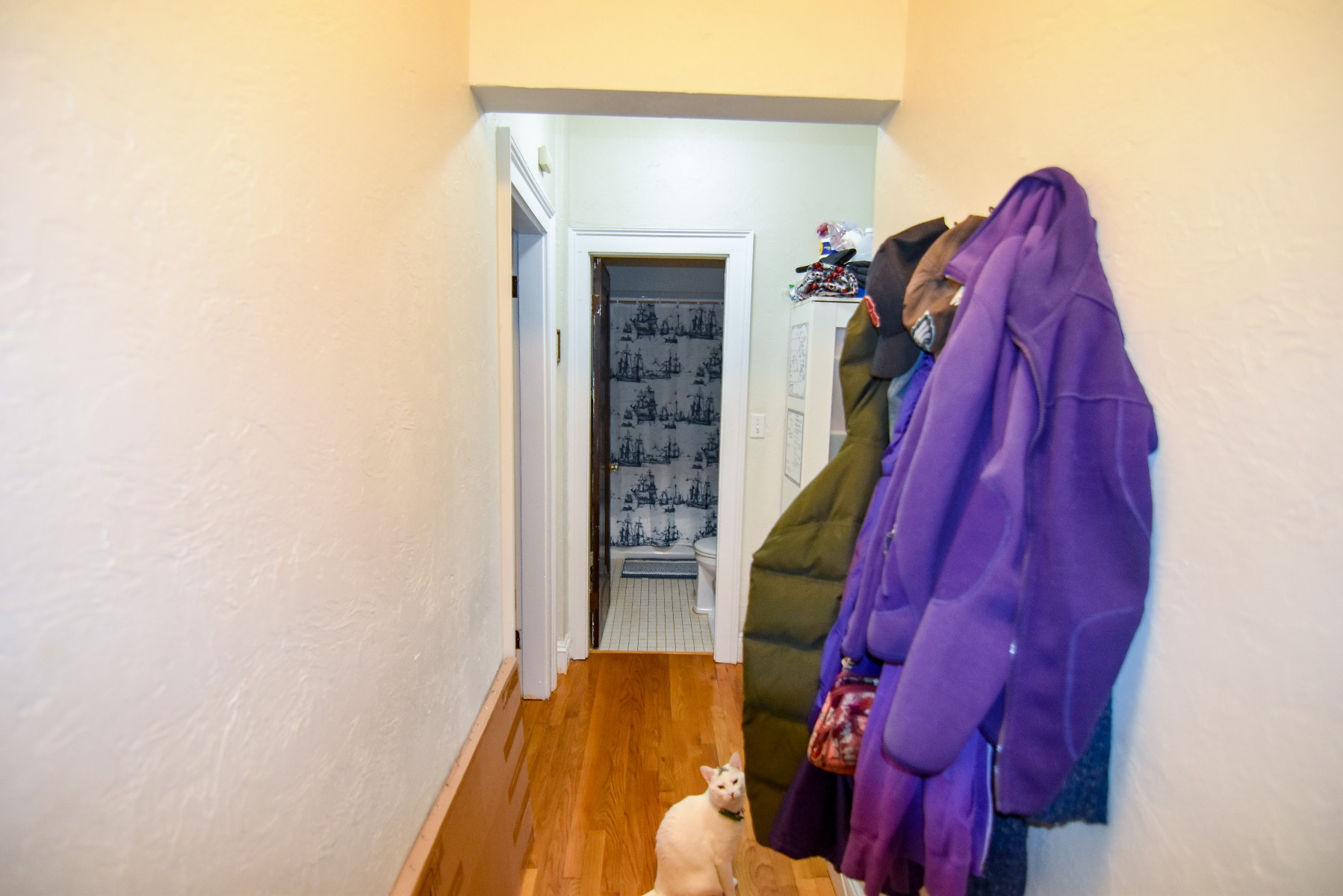 89 Strathmore Rd, Brighton