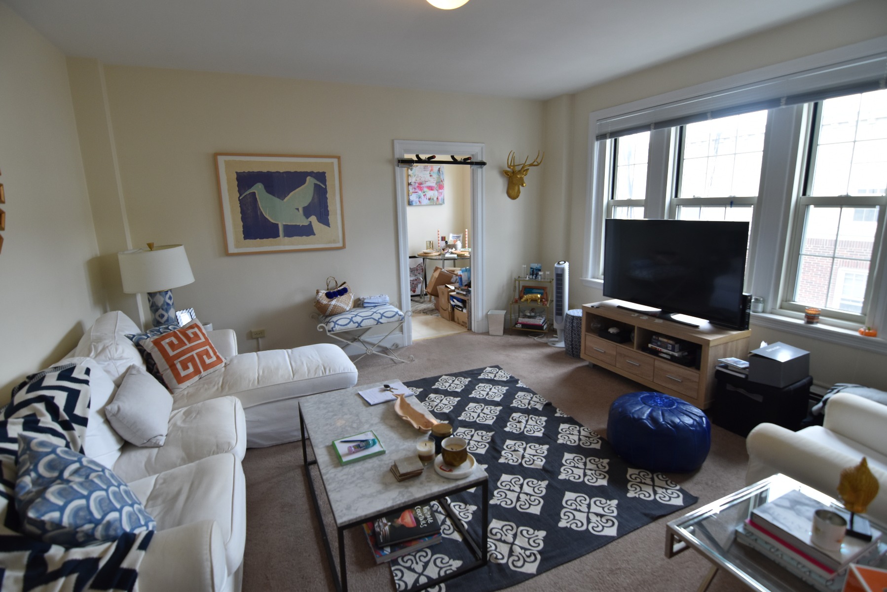 1 bed, 1 bath apartment for rent at 1401 Beacon St Unit 806, Brookline — photo 3 of 11