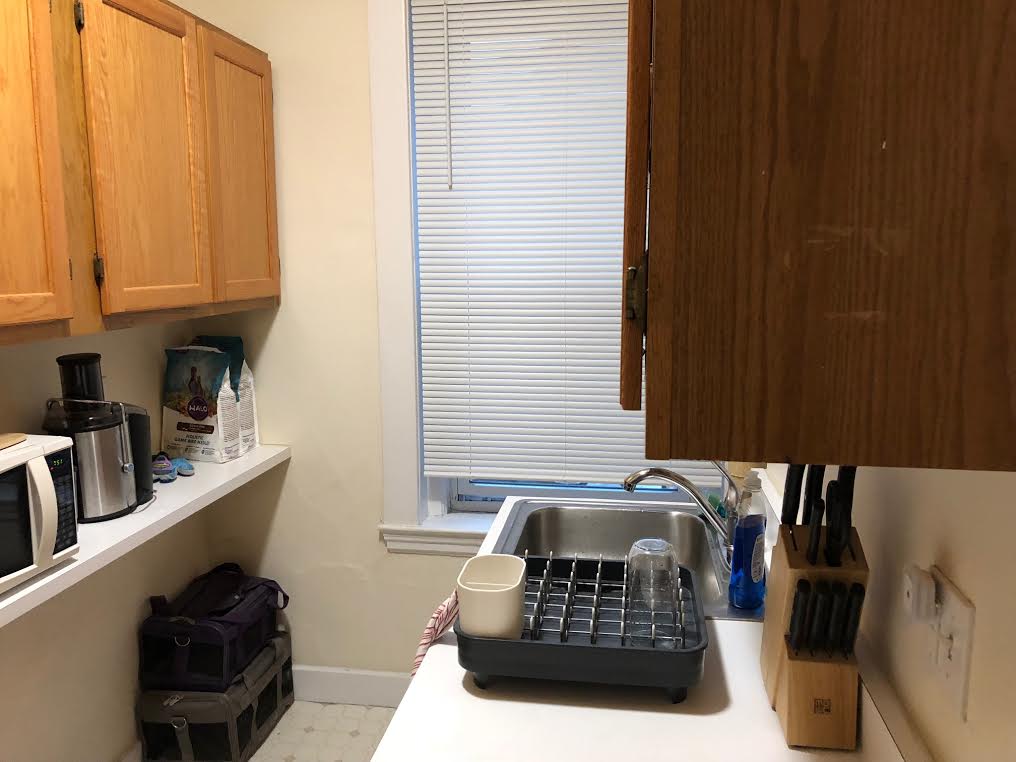 Studio bed, 1 bath apartment for rent at 1368 Commonwealth Ave Unit 5, Allston — photo 13 of 24