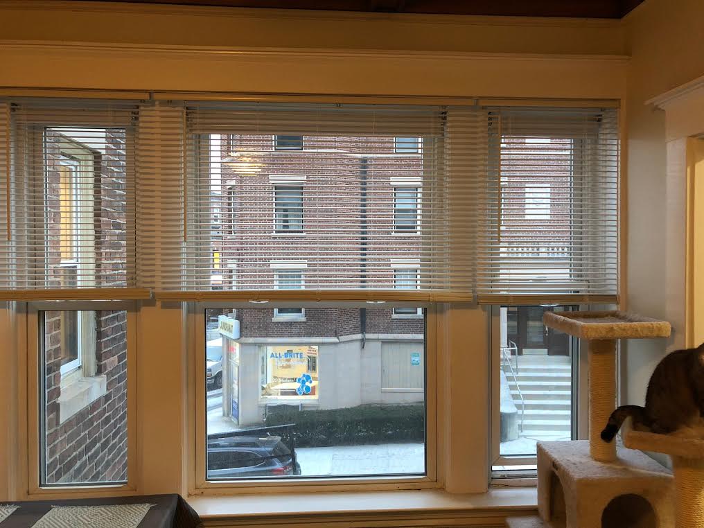 Studio bed, 1 bath apartment for rent at 1368 Commonwealth Ave Unit 5, Allston — photo 10 of 24