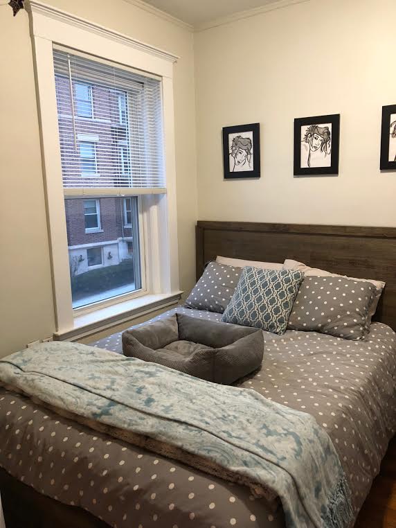 Studio bed, 1 bath apartment for rent at 1368 Commonwealth Ave Unit 5, Allston — photo 4 of 24