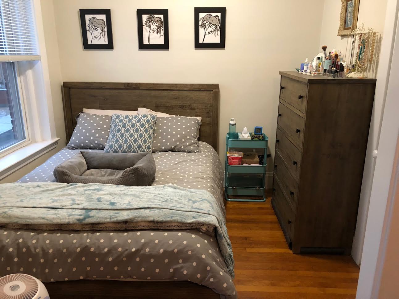 Studio bed, 1 bath apartment for rent at 1368 Commonwealth Ave Unit 5, Allston — photo 3 of 24