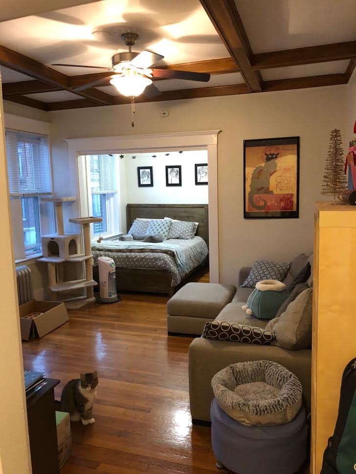Studio bed, 1 bath apartment for rent at 1368 Commonwealth Ave Unit 5, Allston — photo 1 of 24
