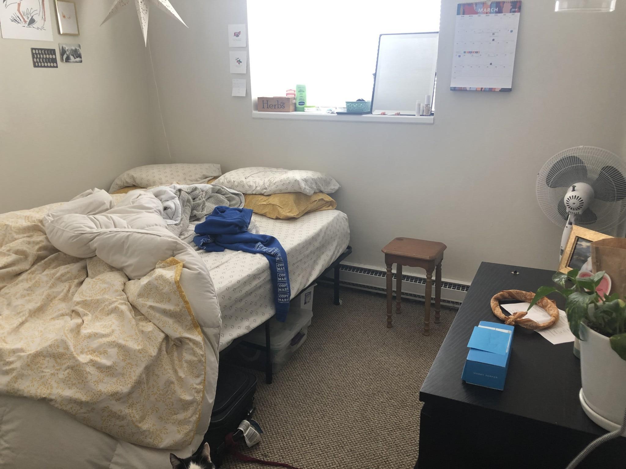 256 Parker Hill Ave, Mission Hill