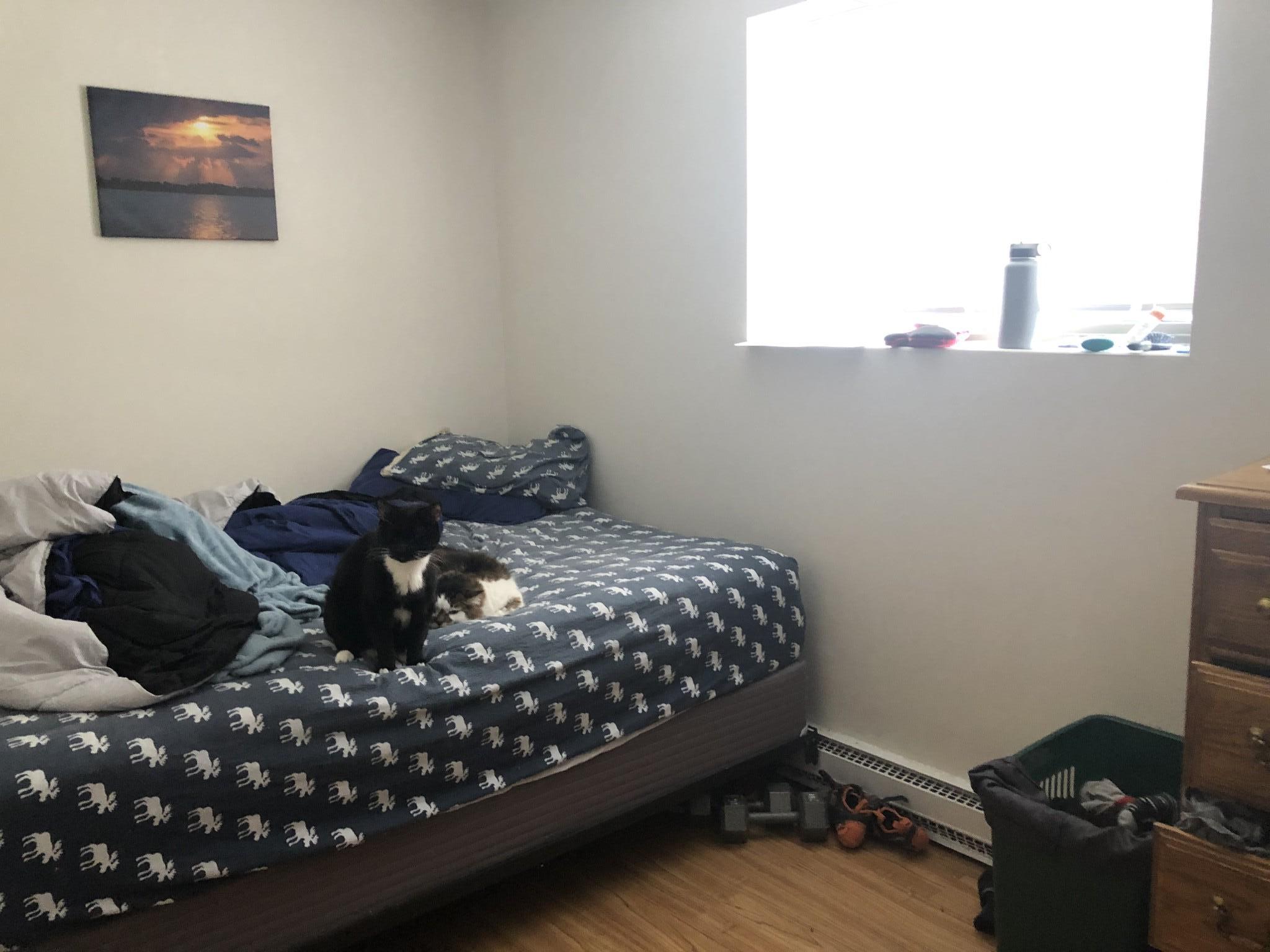 197 Calumet St, Mission Hill