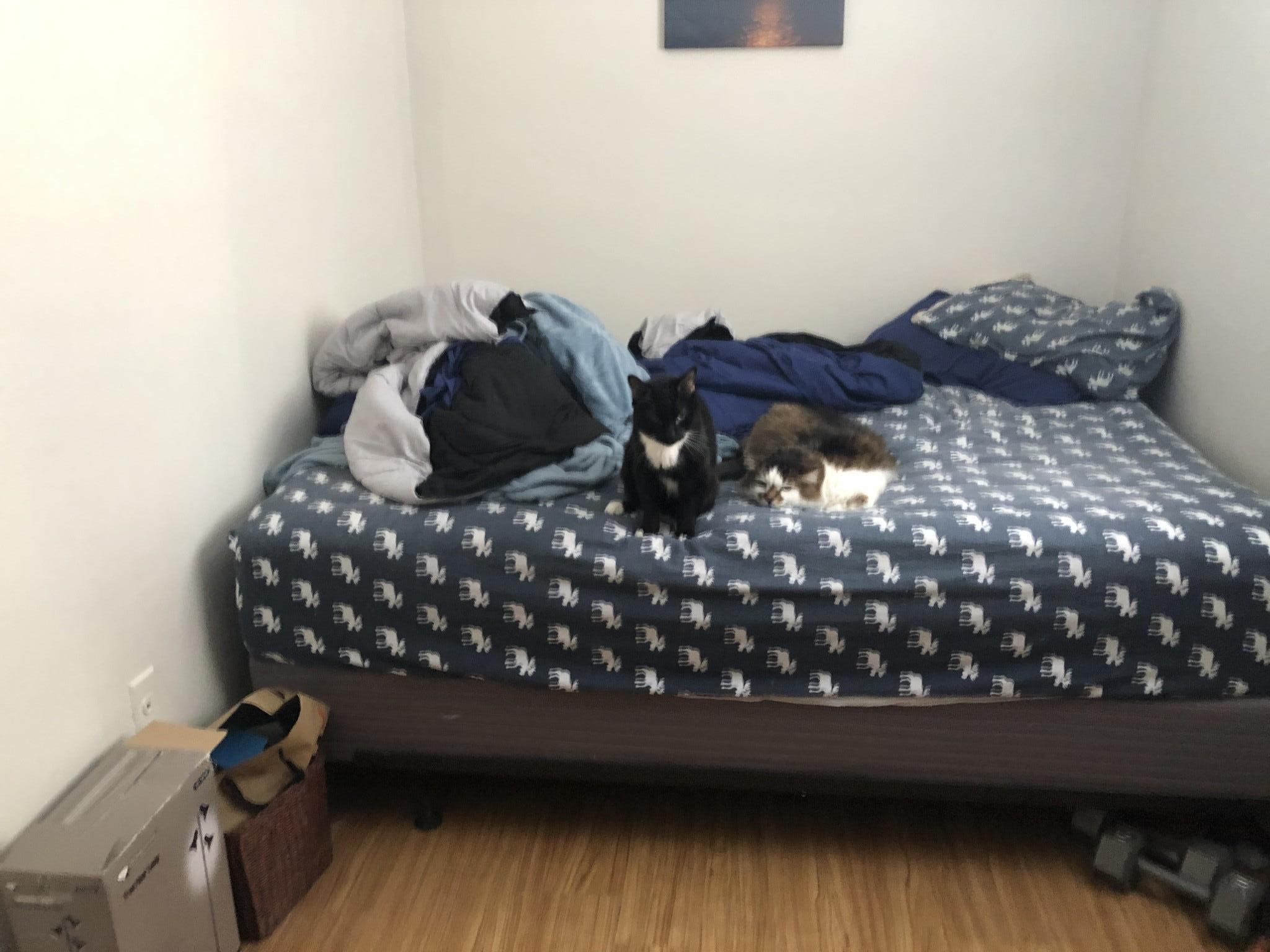 197 Calumet St, Mission Hill