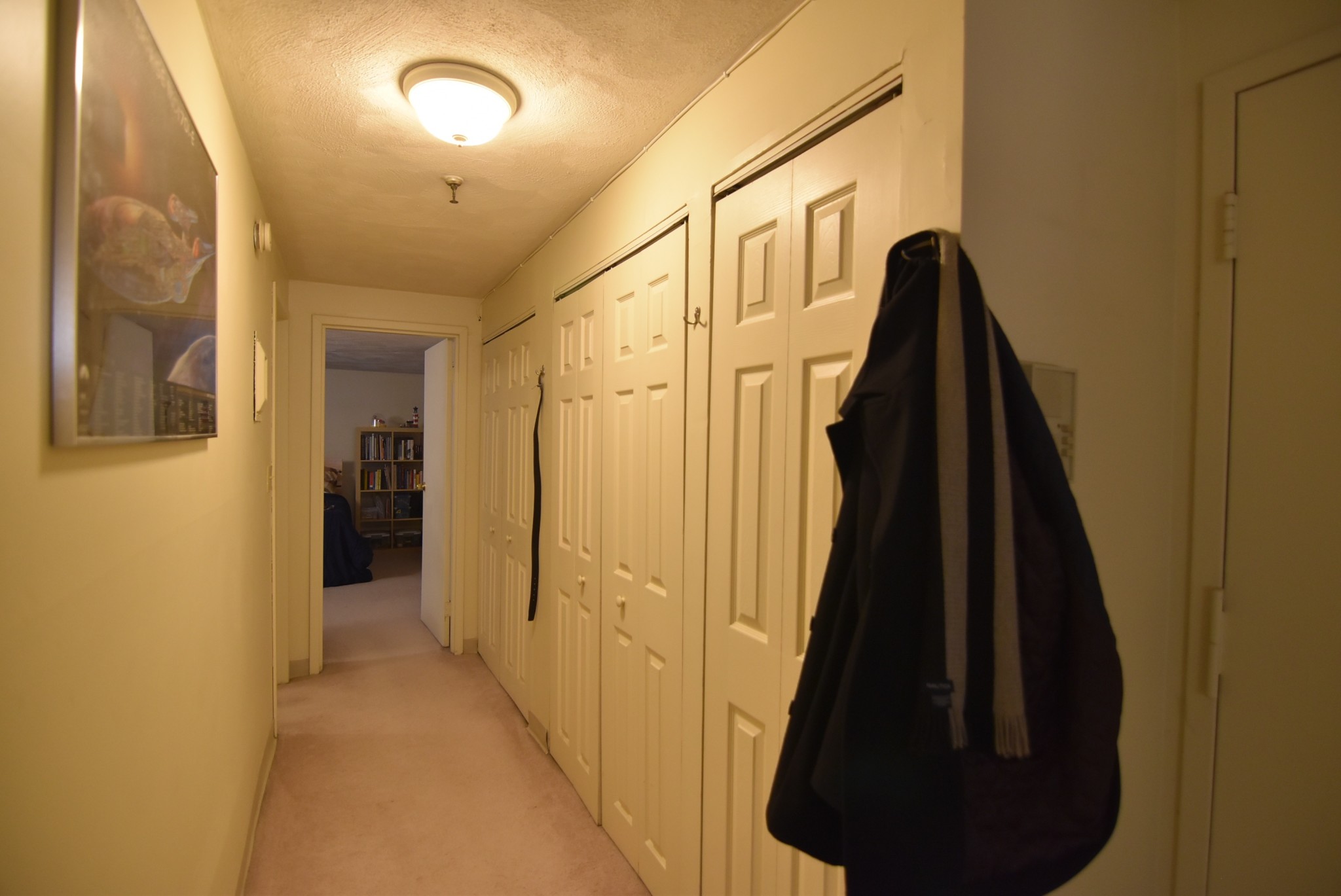 1 bed, 1 bath apartment for rent at 5 Royce Rd Unit B3, Allston — photo 9 of 15
