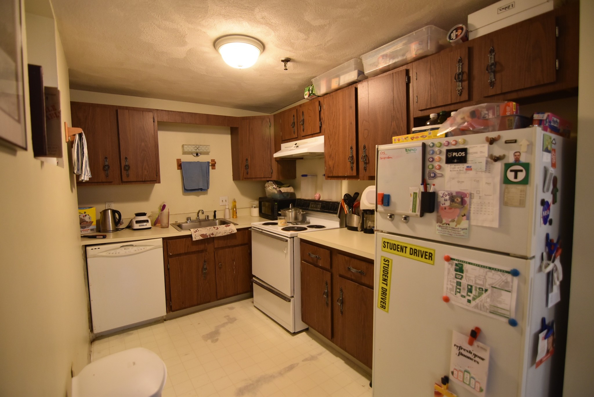 1 bed, 1 bath apartment for rent at 5 Royce Rd Unit B3, Allston — photo 5 of 15