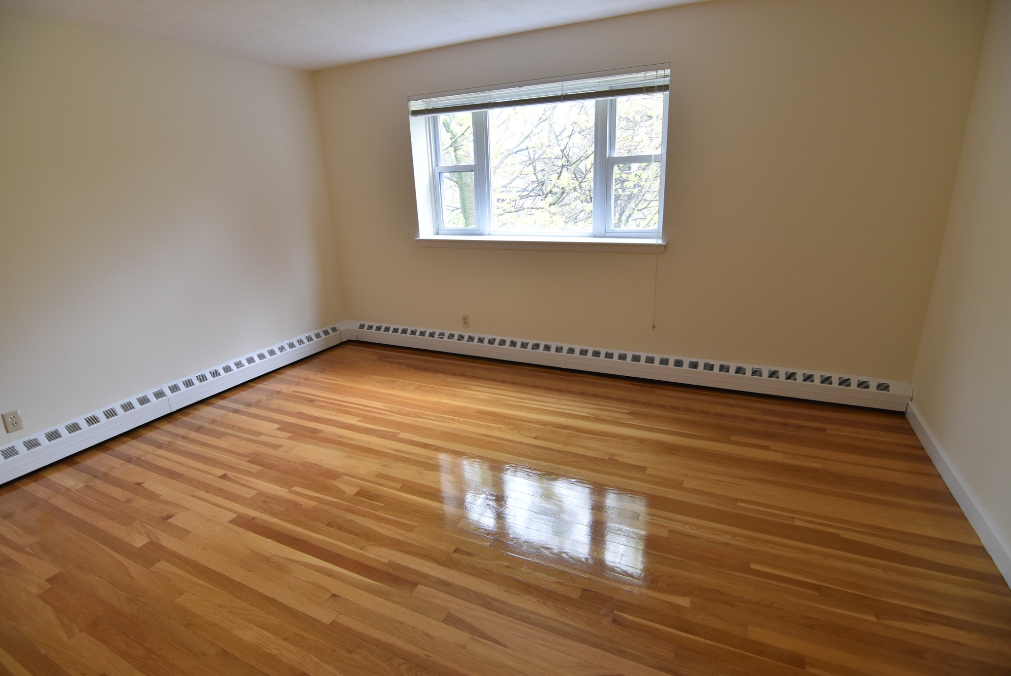 2 bed, 1 bath apartment for rent at 59 Parkman St Unit 3B, Brookline — photo 7 of 11