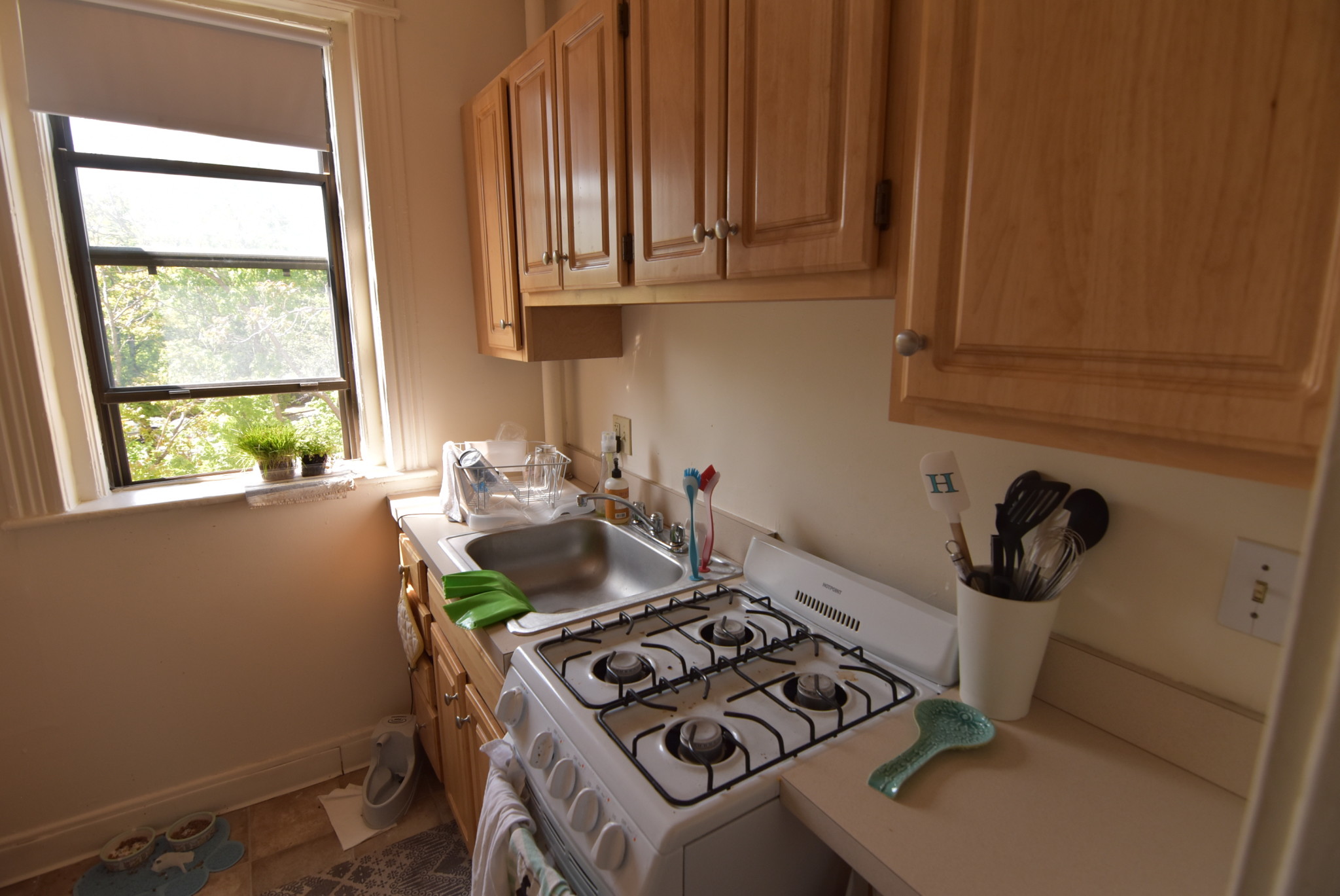 1152 Commonwealth Ave, Allston